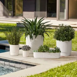West Elm Fluted Ceramic Indoor/Outdoor Planters