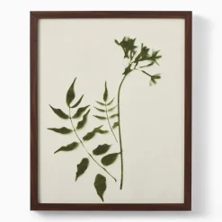West Elm Foraged Wall Art by Minted for