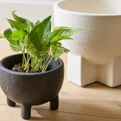 West Elm Form Studies Ceramic Footed Planters