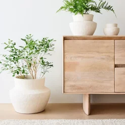 West Elm Form Studies Ceramic Planters