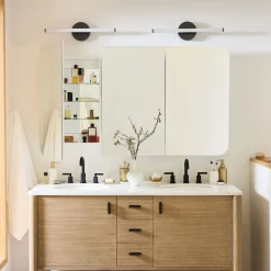 West Elm Frameless Seamless Triple Medicine Cabinet