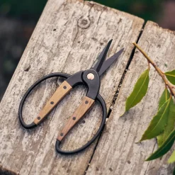 West Elm Garden Scissors