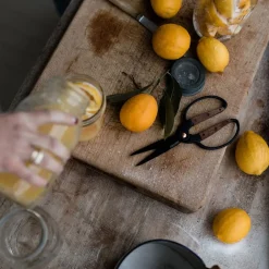 West Elm Garden Scissors