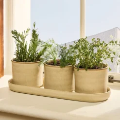 West Elm Herb Planter Trio