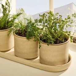 West Elm Herb Planter Trio