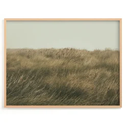 West Elm Immerse Framed Wall Art by Minted for