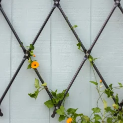 West Elm Iron Wall Mounted Lattice Trellis
