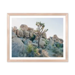 West Elm Joshua Tree Framed Print by Morgan Ashley