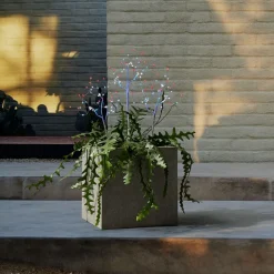 West Elm Light-Up Trees