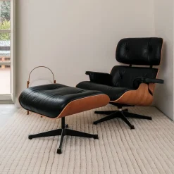 West Elm Lorena Canals Wool Area Rug