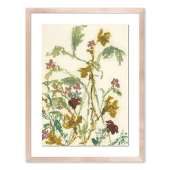 West Elm Meadow Rue 1 Framed Wall Art by Shaina Page