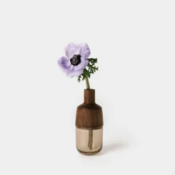 West Elm Melanie Abrantes Indira Vase