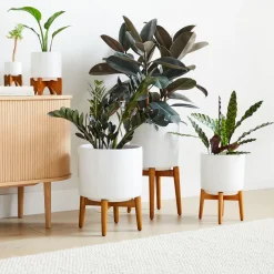 West Elm Mid-Century Turned Wood Leg Planters