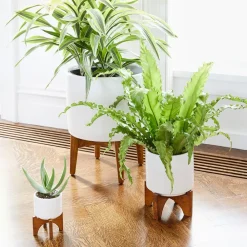 West Elm Mid-Century Turned Wood Tabletop Planters