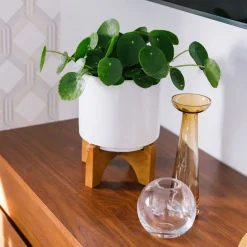 West Elm Mid-Century Turned Wood Tabletop Planters