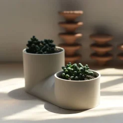 West Elm Misewell Ceramic & Planter -