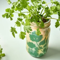 West Elm Modern Sprout Garden Jar
