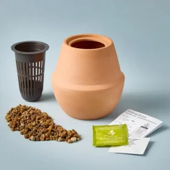 West Elm Modern Sprout Modern Terracotta Grow Kit