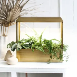 West Elm Modern Sprout Smart Growhouse
