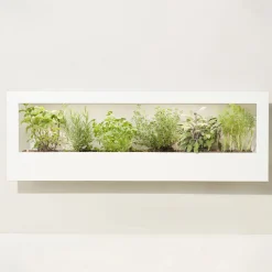 West Elm Modern Sprout Smart Landscape Growframe