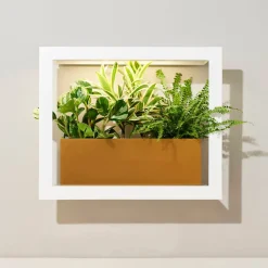 West Elm Modern Sprout Smart Matte Growframe
