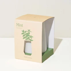 West Elm Modern Sprout Tapered Tumbler Grow Pot