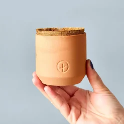 West Elm Modern Sprout Tiny Terracotta Grow Kit - Fruit