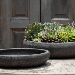 West Elm Nico Bowl (Set of 2)