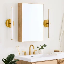 West Elm Norre Medicine Cabinet