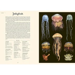 Kids West Elm Oceanarium
