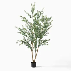 West Elm Open Box: Faux Potted Eucalyptus Tree (8')