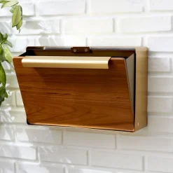 West Elm Open Box: Modern Steel & Teak Mailbox, Wide (16"W x 7"D x 11"H) - Antique Brass
