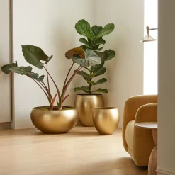 West Elm Organic Metal Floor Planters