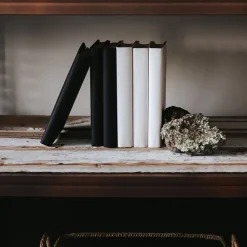 West Elm Paper-Wrapped ColorPak Books