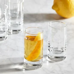 West Elm Paris Crystal Cocktail Glass Sets