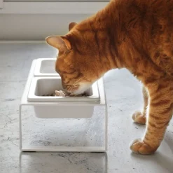 West Elm Pet Food Bowls