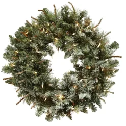 West Elm Pre-Lit Faux Frosted Wreath