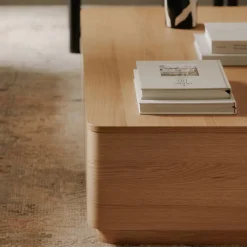 West Elm Rina Curved Pedestal Storage Coffee Table (55")