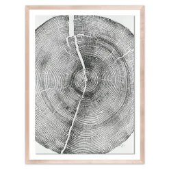 West Elm Rock Canyon Pine Framed Wall Art by Erik Linton