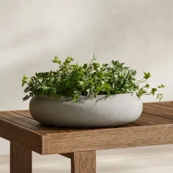 West Elm Ronan Ficonstone Indoor/Outdoor Bowl Planter