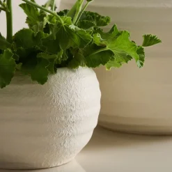 West Elm Rounded Ceramic Fluted Tabletop Planters