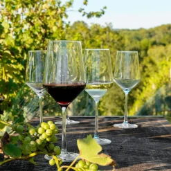 West Elm Schott Zwiesel Pure Crystal Wine Glasses