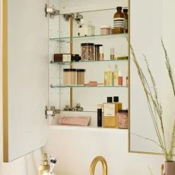 West Elm Seamless Triple Medicine Cabinet