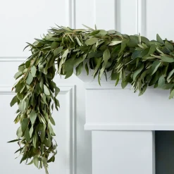 West Elm Silver Dollar Eucalyptus & Olive Garland