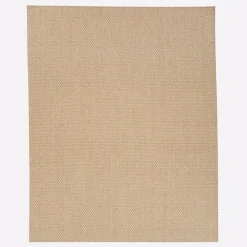 West Elm Sisal Rug