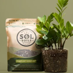 West Elm Sol Soils Houseplant Chunky Mix