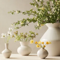 West Elm Springtime Garden Botanical Bundle