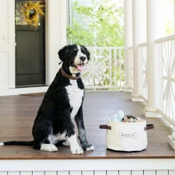 West Elm Steele Canvas Dog Toy Basket