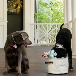 West Elm Steele Canvas Dog Toy Basket