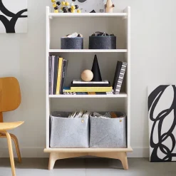 West Elm Sydney Tall Bookcase (26")